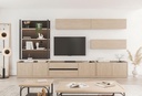 Terra TV Unit